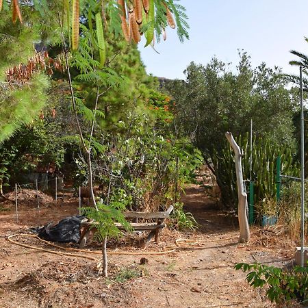 La Casa De Los Pinos Temisas Eksteriør bilde
