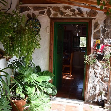 La Casa De Los Pinos Temisas Eksteriør bilde
